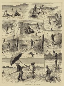 Pequeño deporte en India